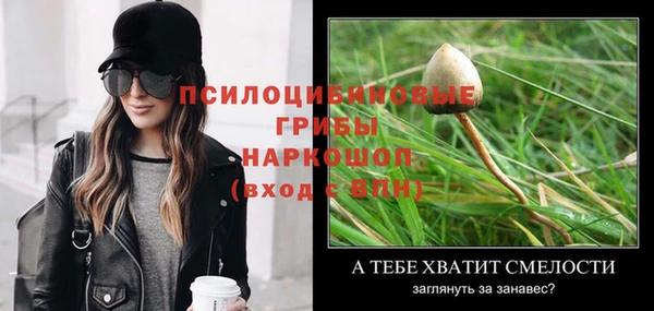 ешки Горнозаводск